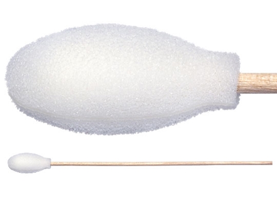 Picture of TX720B Foam Covered Cotton Cleanroom Swab with Wood Handle, Non-Sterile